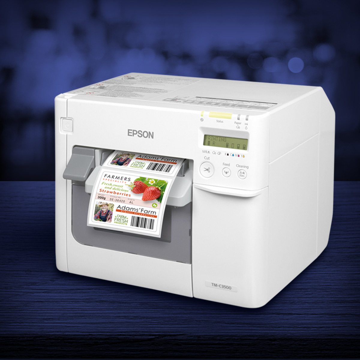 impresora epson C3500
