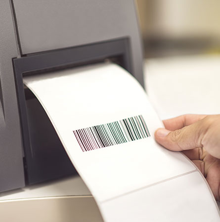 garin etiquetas blancas importancia