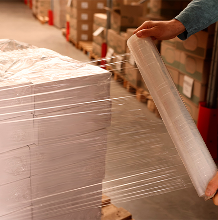 palentizar productos